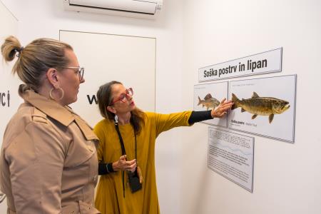 018 foto David Štulc Zornik